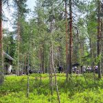 Häähninmäki2