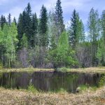 Häähninmäki3